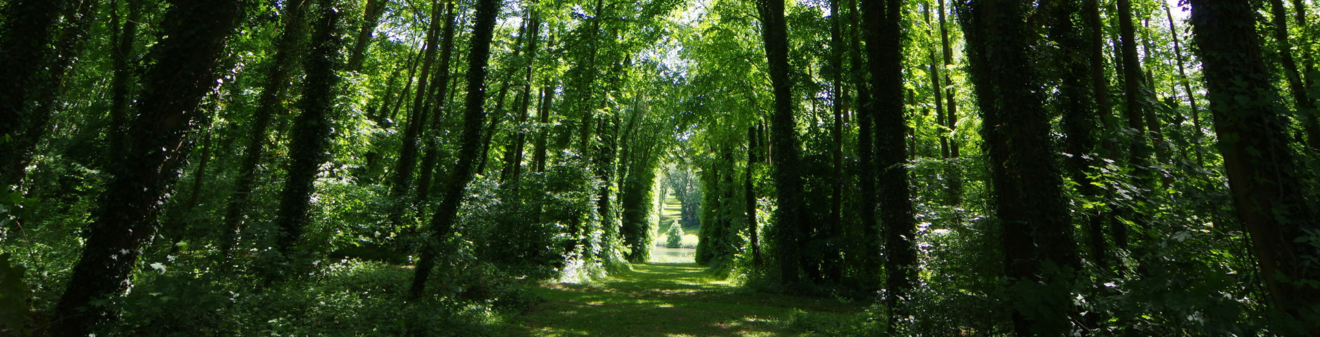 domaine de Versigny, château de Versigny, parc de Versigny, visite guidée, Aquilon Découverte